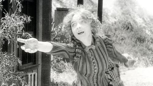 Die Schlacht von Elderbush Gulch Bild 1