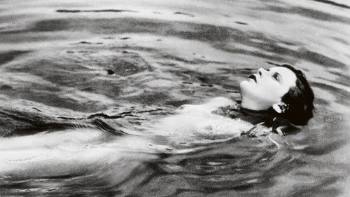 Symphonie der Liebe Bild 7