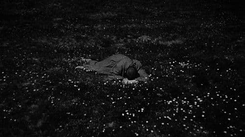 Franziskus, der Gaukler Gottes Bild 7