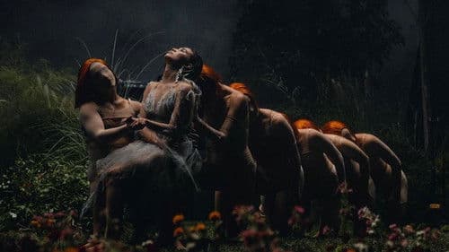 MOONCHILD EXPERIENCE Bild 1