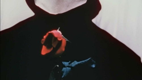 The Assignation Bild 8