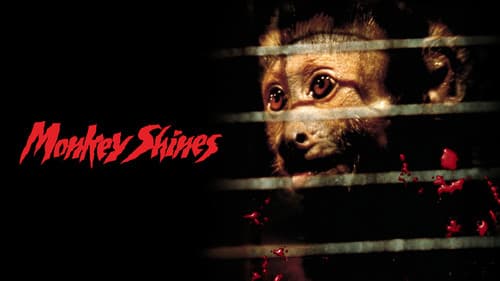 Der Affe im Menschen Bild 8