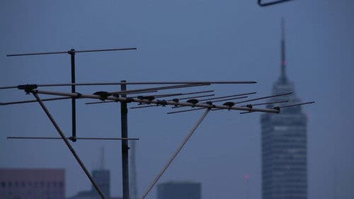 Ciudad Merced Bild 2