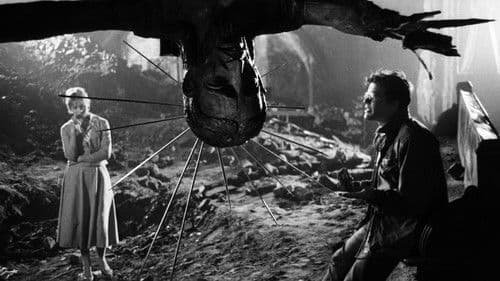 Asche und Diamant Bild 7