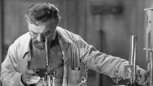 Paul Ehrlich – Ein Leben für die Forschung Bild 3