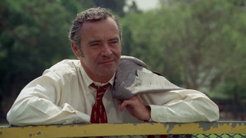 Rettet den Tiger! Bild 6