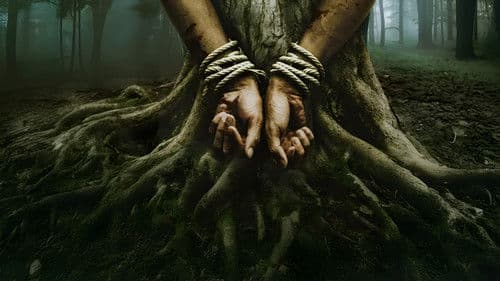 Bark - Nichts bleibt verborgen Bild 3