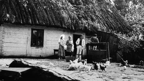 Party przy świecach Bild 2