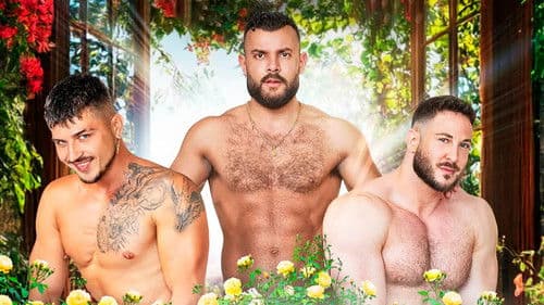 Spain in the Ass 2 Bild 3