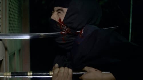 土忍記 風の天狗 Bild 8