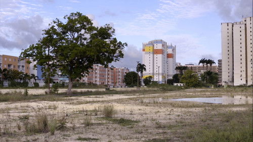 Die sich im Kreis drehen Bild 1