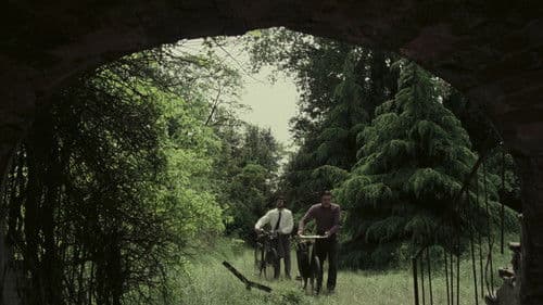 Das Haus der lachenden Fenster Bild 5