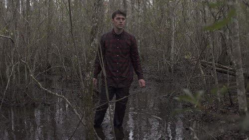 Lost in Buffalo City Bild 1