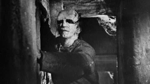 Frankensteins Ungeheuer Bild 8