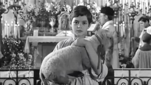 Heimliche Freundschaften Bild 7