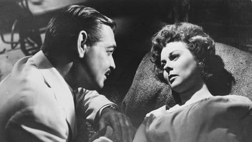 Treffpunkt Hongkong Bild 4