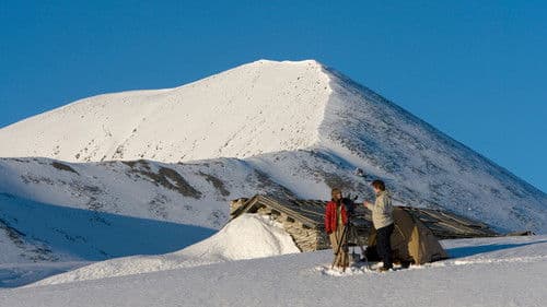 Das Orangenmädchen Bild 8