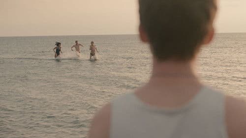 Bjørn på Langeland Bild 1