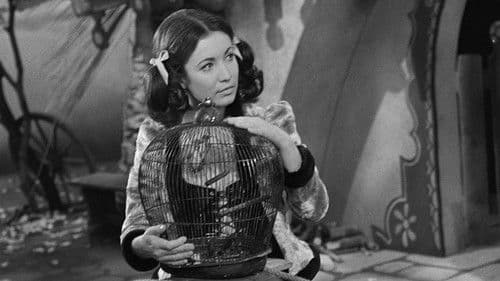 Nejsem chmýrko na bodláku Bild 2