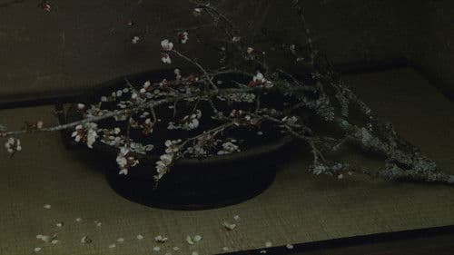 Rikyu der Teemeister Bild 5