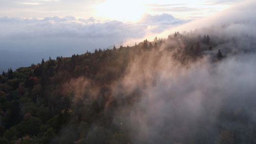 The River Runs On Bild 4