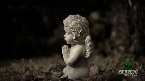 Thomas und Marco Bild 7