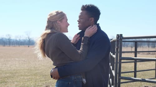 Der Traum unseres Lebens Bild 3