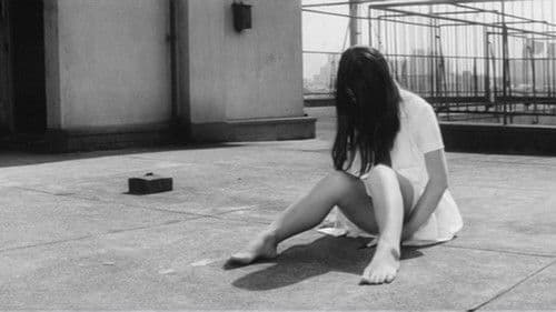 Zwei Mal Jungfrau Bild 8