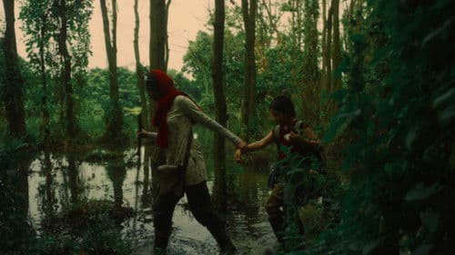 মশারী Bild 1