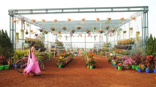 కథలో రాజకుమారి Bild 4