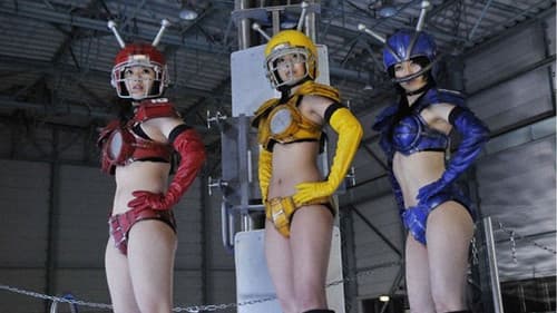 Karate-Robo Zaborgar Bild 3