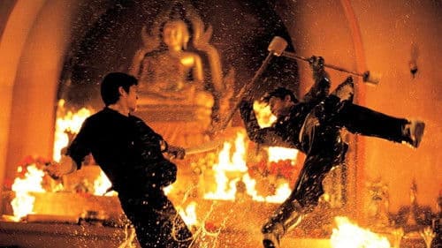 Revenge of the Warrior Bild 3