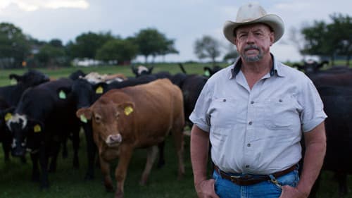 Food and Country Bild 2