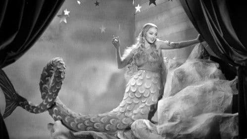 È sbarcato un marinaio Bild 8