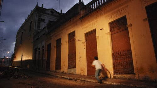 O Plano do Cachorro Bild 1