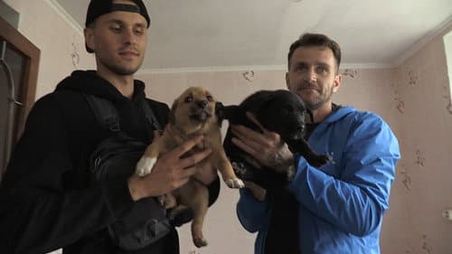 犬と戦争: ウクライナで私が見たこと Bild 2
