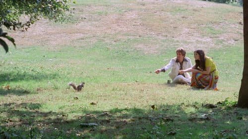 Virgin and the Lover Bild 1