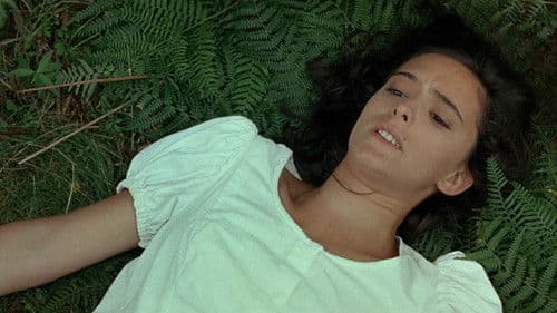 Vacas - Kühe Bild 3