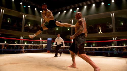 Undisputed IV - Boyka is back Bild 5