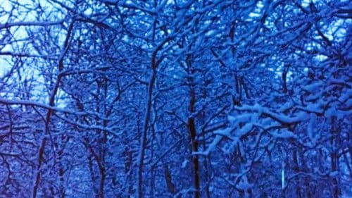 Hours for Jerome Bild 7