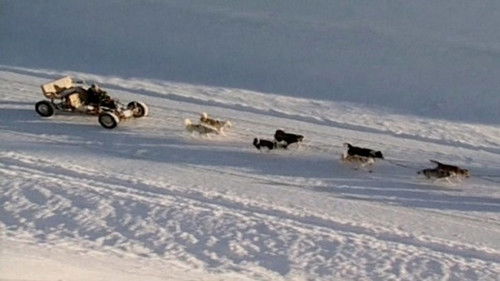 L'odyssée blanche Bild 1