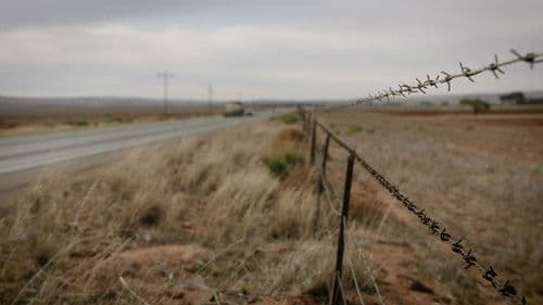 Salt of the Earth Bild 8