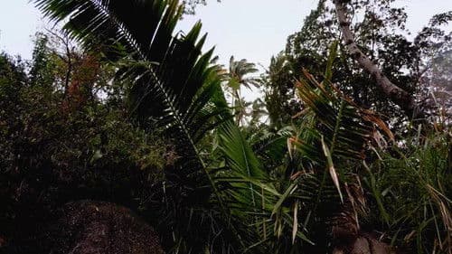 Die Jahreszeiten in der Wildnis Bild 1