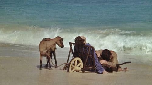 Ich werde laufen wie ein verrücktes Pferd Bild 1