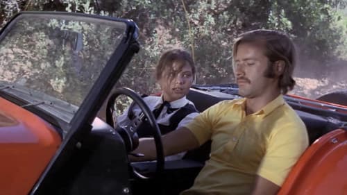 Das Taubenhaus Bild 3