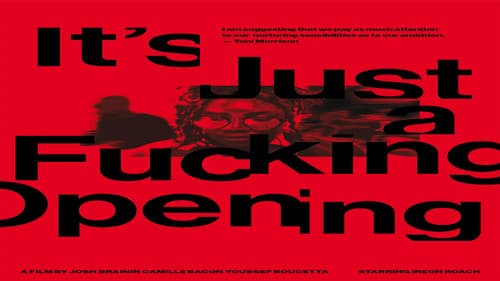 It's Just a Fucking Opening Bild 1