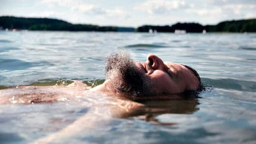 7 lagos, 7 vidas Bild 1