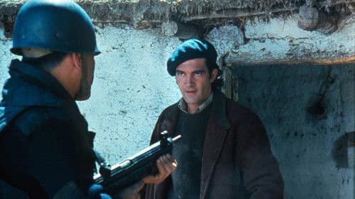 Von Liebe und Schatten Bild 5