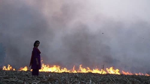 बिटर स्वीट Bild 3