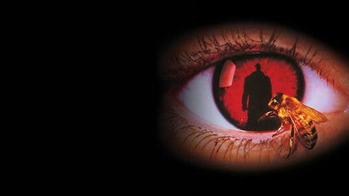 Candyman's Fluch Bild 2